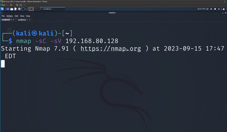 image-3 Metasploit for Beginners - Ethical Penetration Testing Guide with Kali Linux